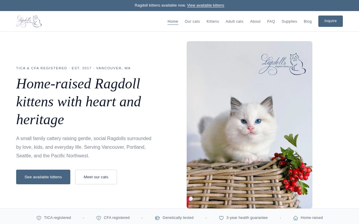 The Lapdolls Ragdoll Cattery home page. A photograph of a Ragdoll kitten on a woven basket beside red winter berries sits next to the heading Home-raised Ragdoll kittens with heart and heritage, with a bar across the top saying Ragdoll kittens available now.